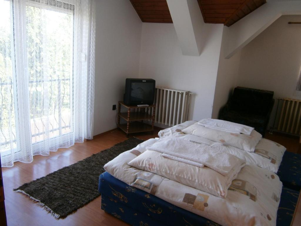 Vandor Vigado Zalaegerszeg